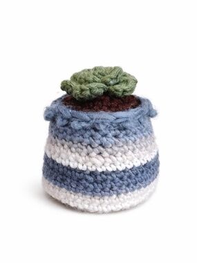 LD Yarn Creation Handmade Crochet Green Succulent Plant Cozy – New
